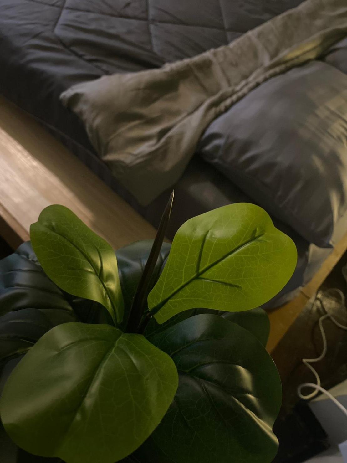 Rhythm Of Life Guesthouse 56 بانكوك المظهر الخارجي الصورة